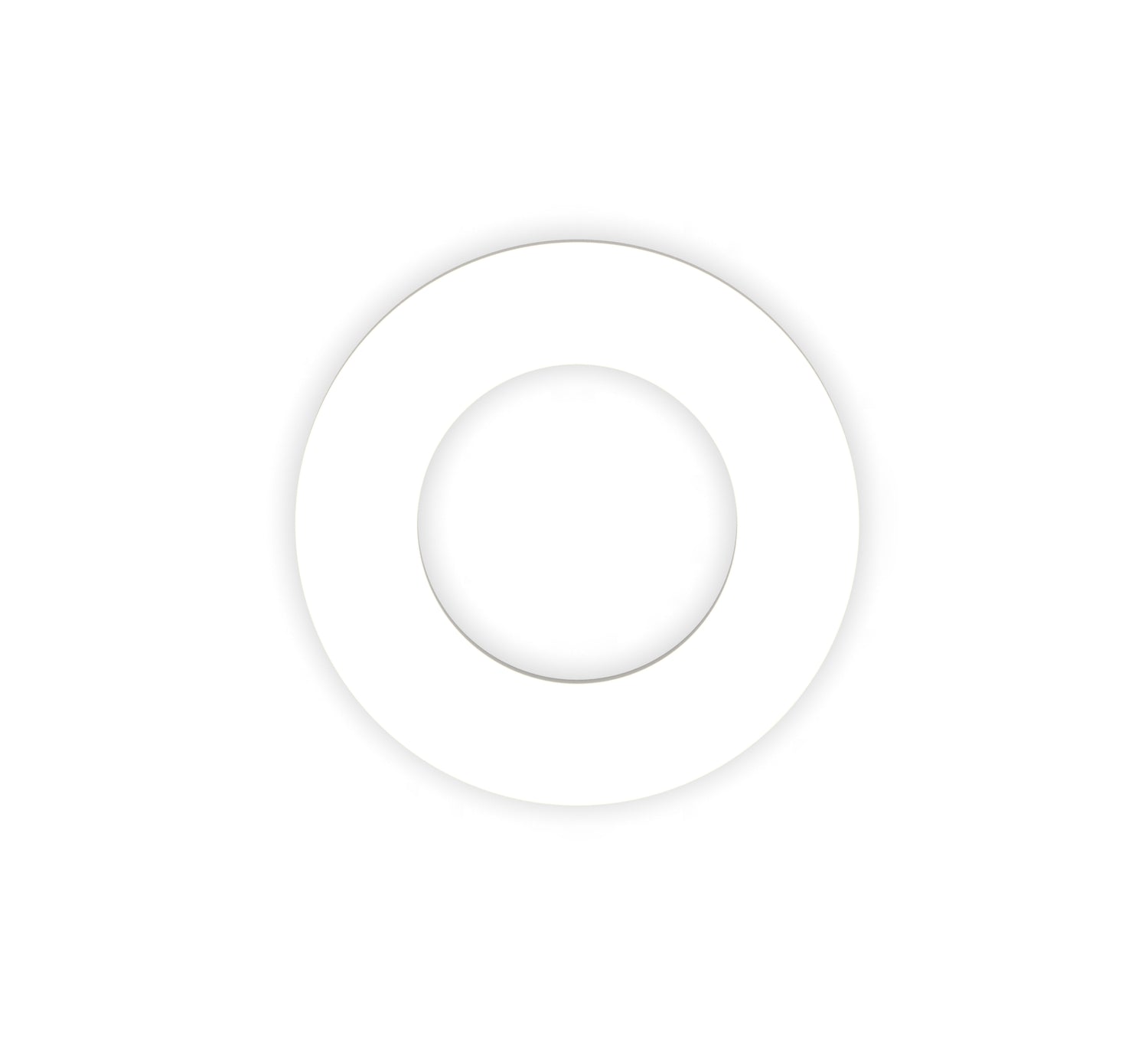 Ceramic Custom Manufactured Washers