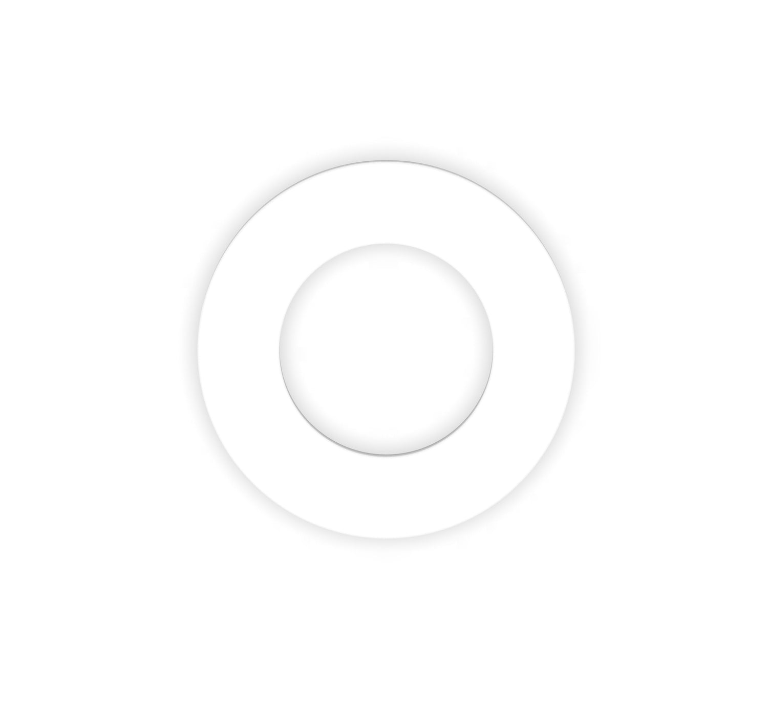 Polytetrafluoroethylene (PTFE) Custom Manufactured Washers